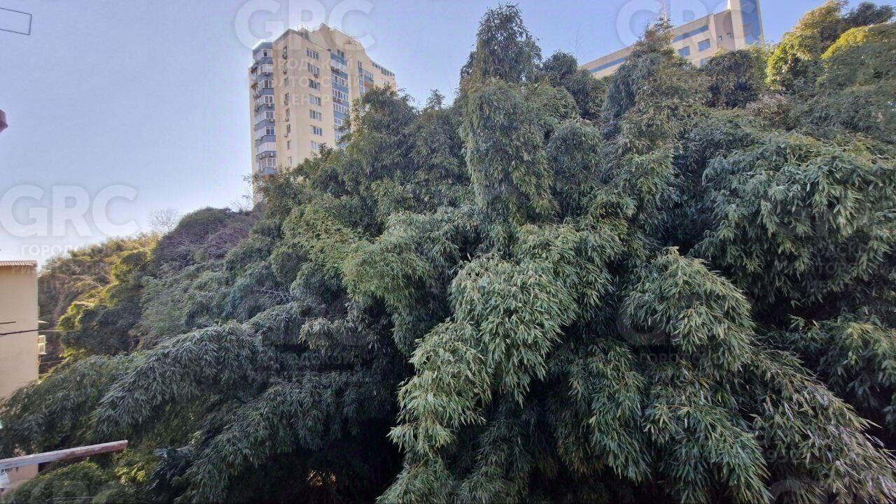 квартира г Сочи р-н Центральный пер Центральный ул Комсомольская фото 42