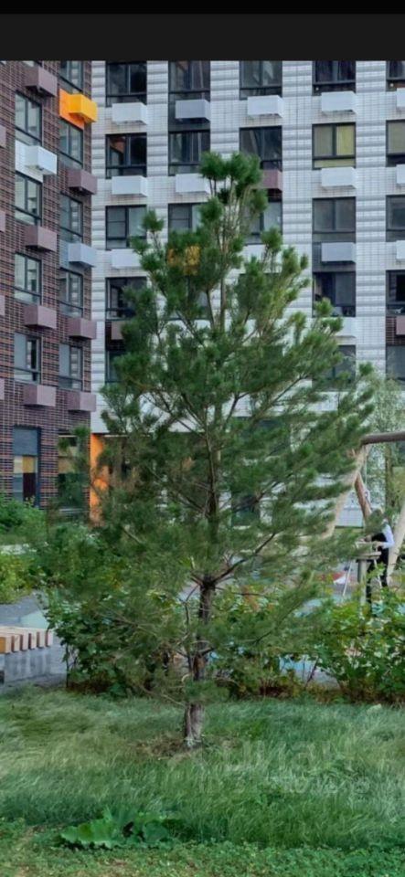 квартира г Москва метро Черкизовская ул Амурская 2к/2 фото 9