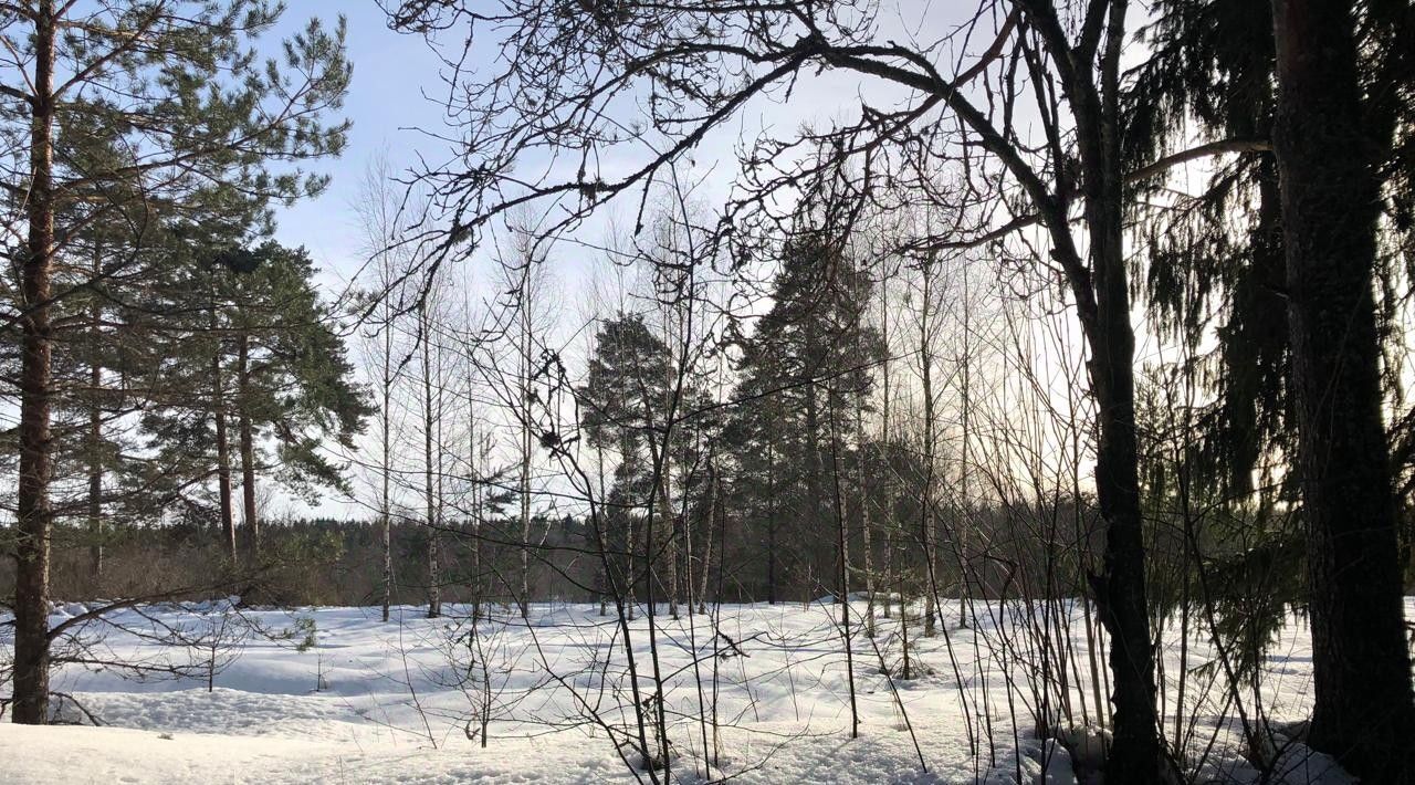 офис р-н Гатчинский д Грязно ул. Новый Поселок, 32 фото 4