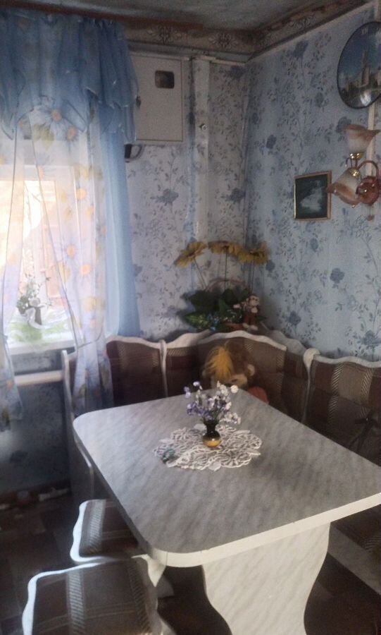 дом г Октябрьск район Пристань, ул. Сергея Павлихина, 17 фото 6