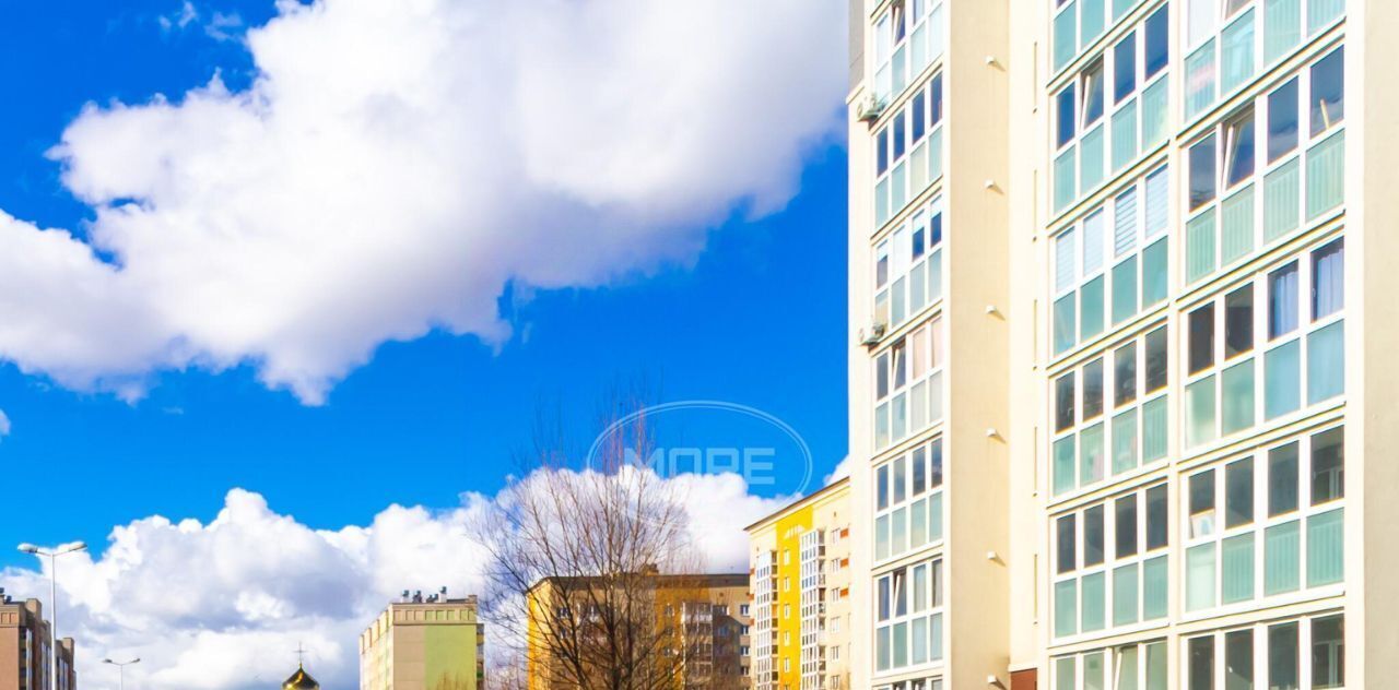 квартира г Калининград р-н Московский ул Левитана 63к/3 фото 29