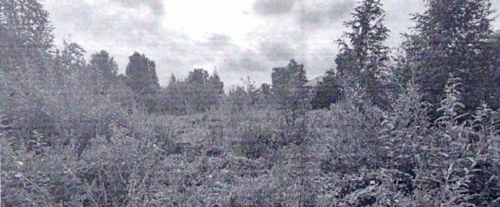 офис г Пермь р-н Орджоникидзевский ул Трясолобова 40 фото 1