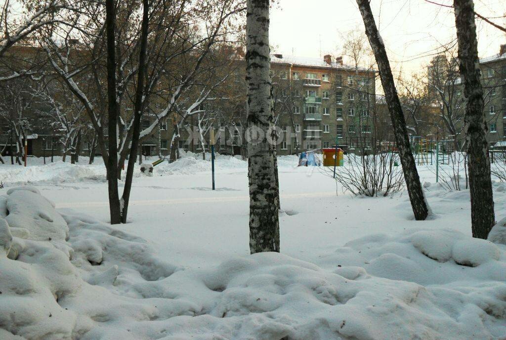 квартира г Новосибирск р-н Ленинский ул Блюхера 33 Площадь Маркса фото 1