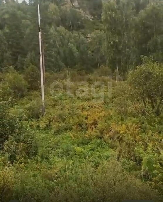 земля р-н Майминский Р-256 Чуйский тракт, 480-й километр фото 2