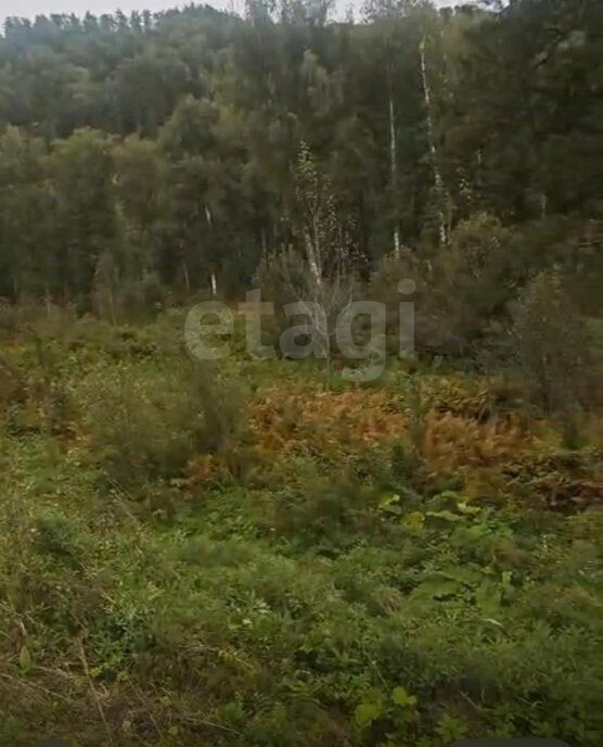 земля р-н Майминский Р-256 Чуйский тракт, 480-й километр фото 3