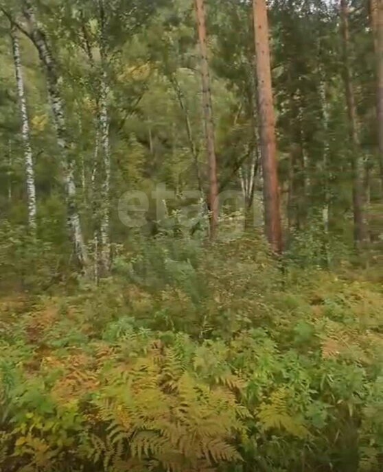 земля р-н Майминский Р-256 Чуйский тракт, 480-й километр фото 4