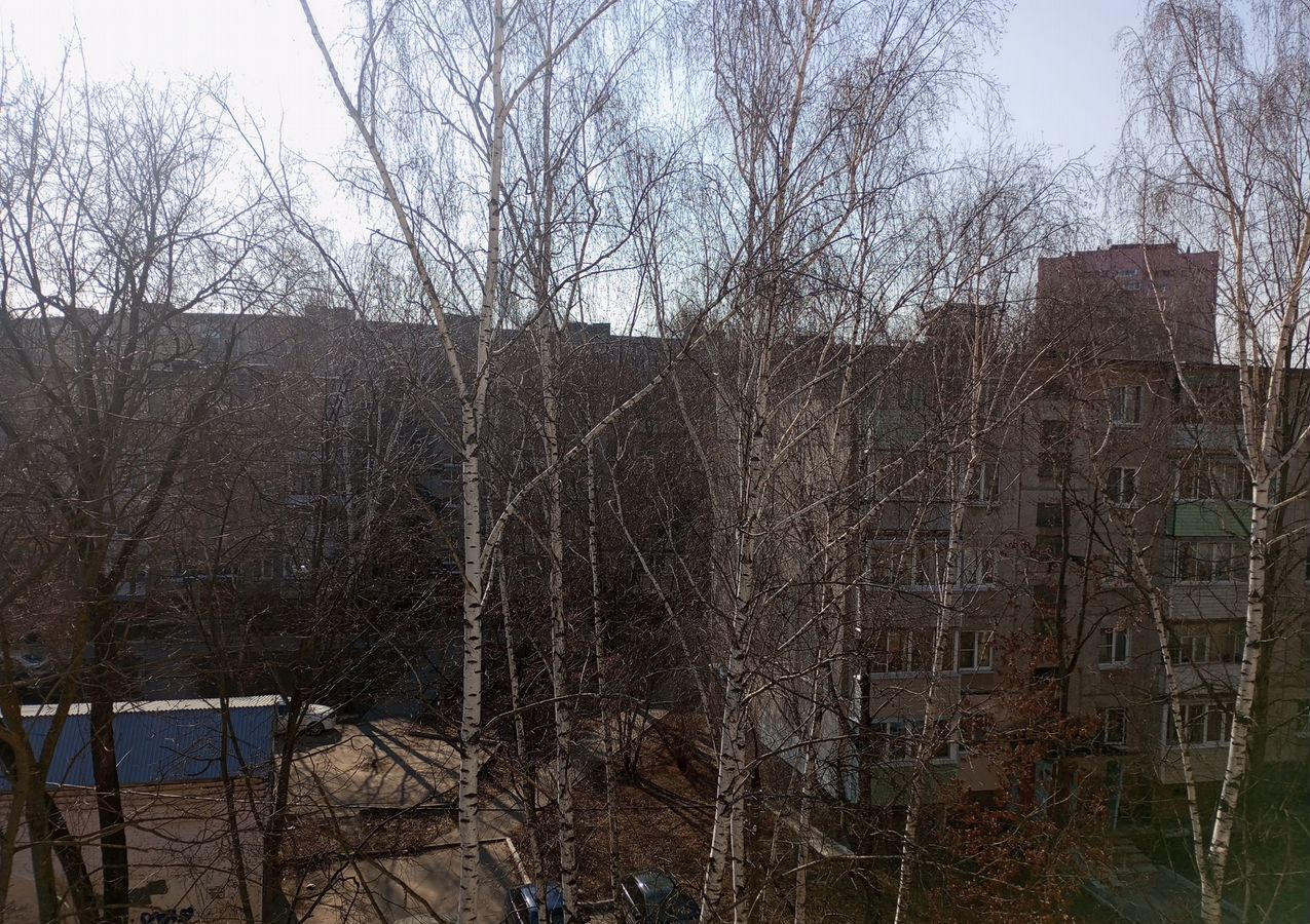 квартира г Воскресенск ул Зелинского 5б мкр-н Новлянский фото 10