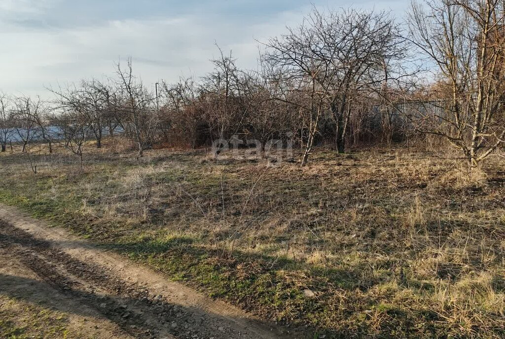 земля г Краснодар р-н Прикубанский жилой массив Тополиный, Абрикосовая улица фото 3