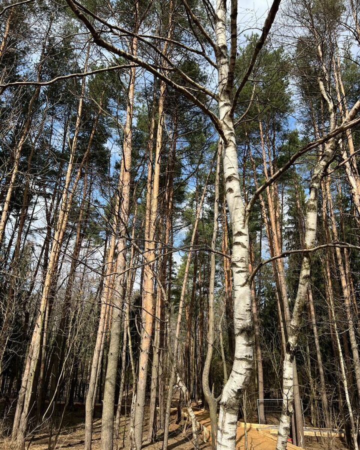 квартира г Одинцово Новая Трехгорка Одинцовский г. о., Одинцово, ул. Чистяковой, 80, Сколково фото 16