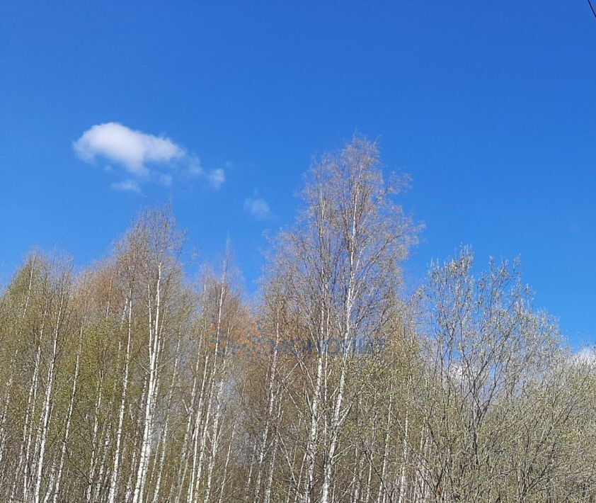 земля г Нижний Новгород д Сартаково ул Центральная фото 3