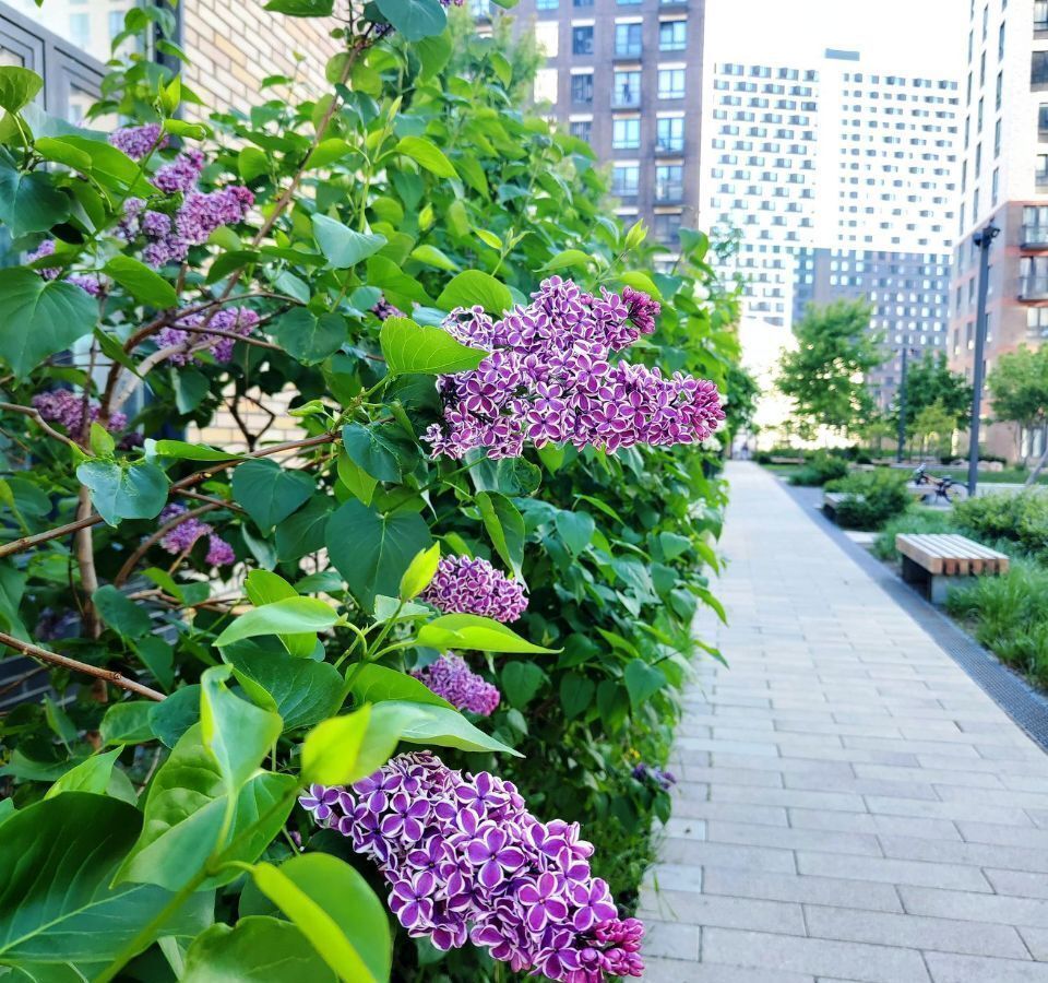 квартира г Москва метро Авиамоторная ул Красноказарменная 14ак/6 фото 28