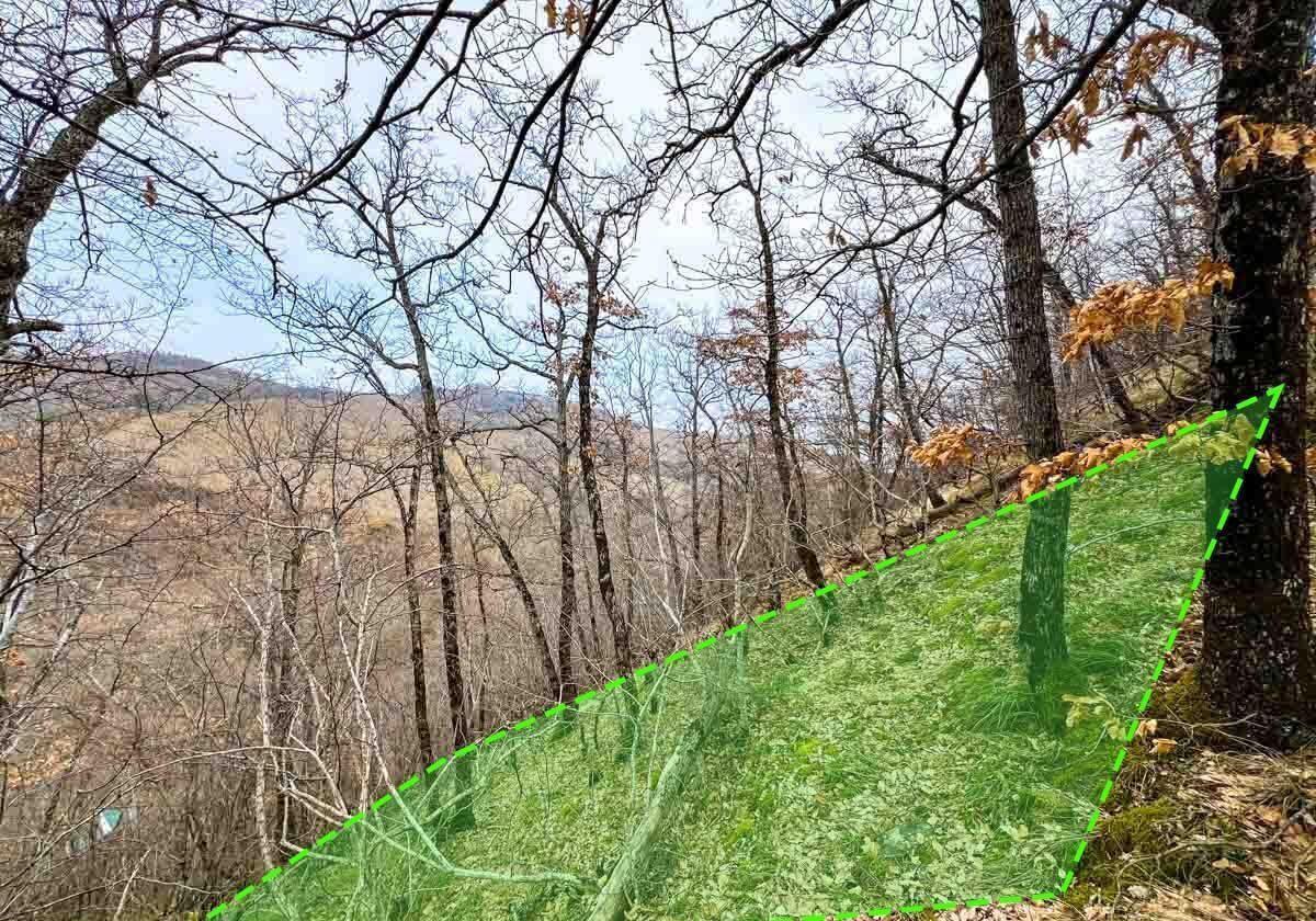земля г Алушта с Малый Маяк фото 1