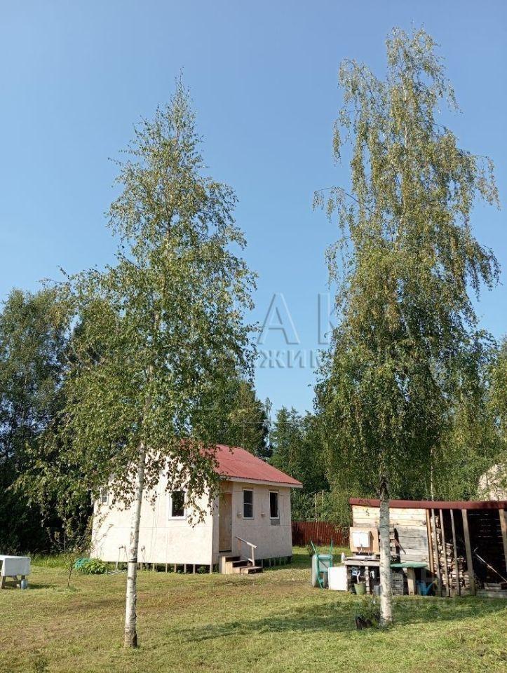 дом р-н Кингисеппский г Ивангород ул Садовая Ивангородское городское поселение фото 5