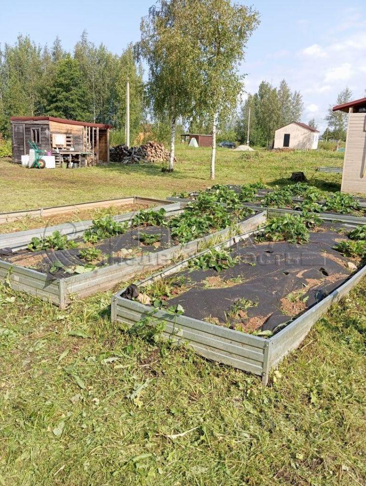 дом р-н Кингисеппский г Ивангород ул Садовая Ивангородское городское поселение фото 30