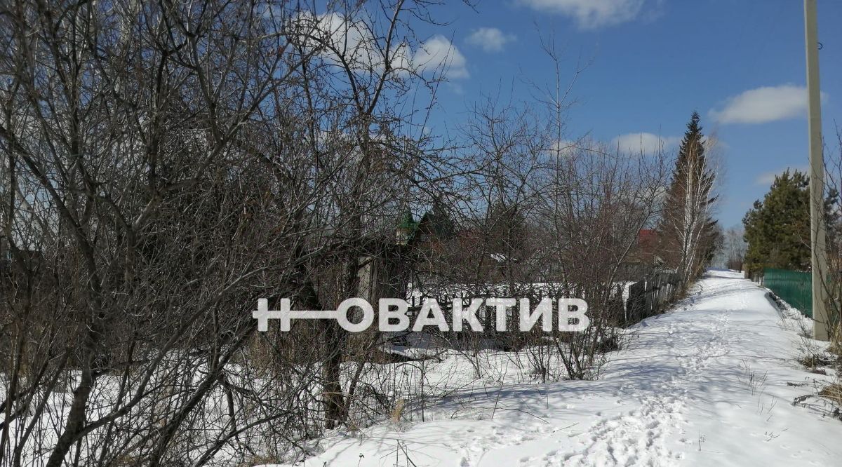 земля г Новосибирск Золотая Нива ул Центральная Садоводческого товарищества Плющихинская пойма тер. фото 2