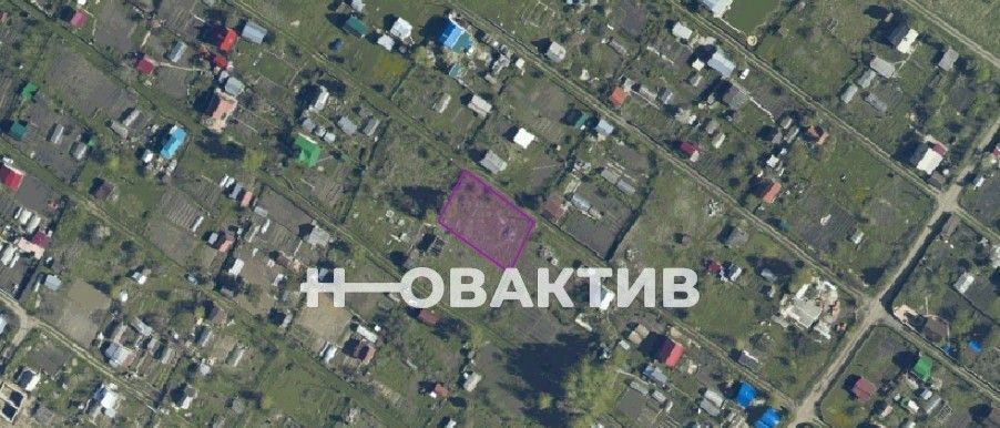 земля г Новосибирск Золотая Нива ул Центральная Садоводческого товарищества Плющихинская пойма тер. фото 4