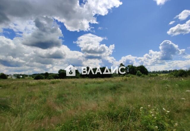 д Цыплино 97 км, Верея, Минское шоссе фото