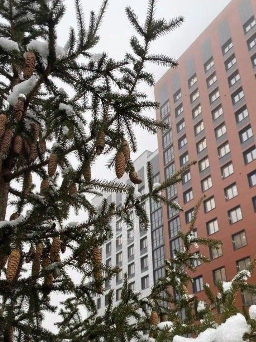 квартира г Омск р-н Кировский микрорайон Зелёная Река 13 фото 1