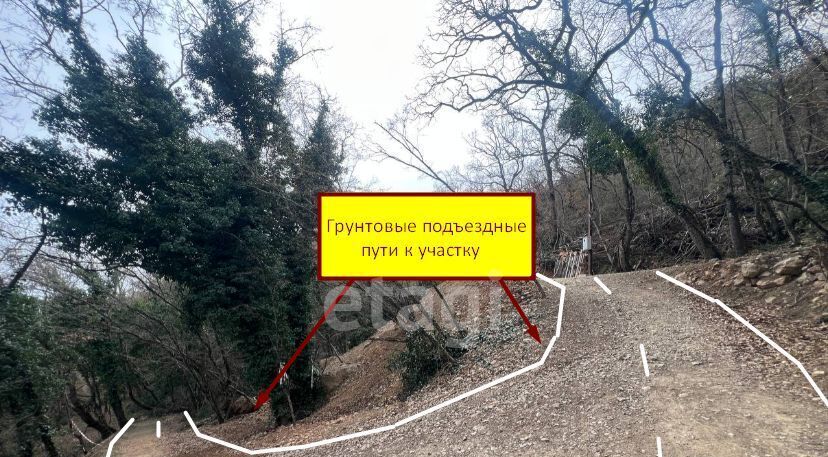 земля г Ялта ул Дарсановская фото 4