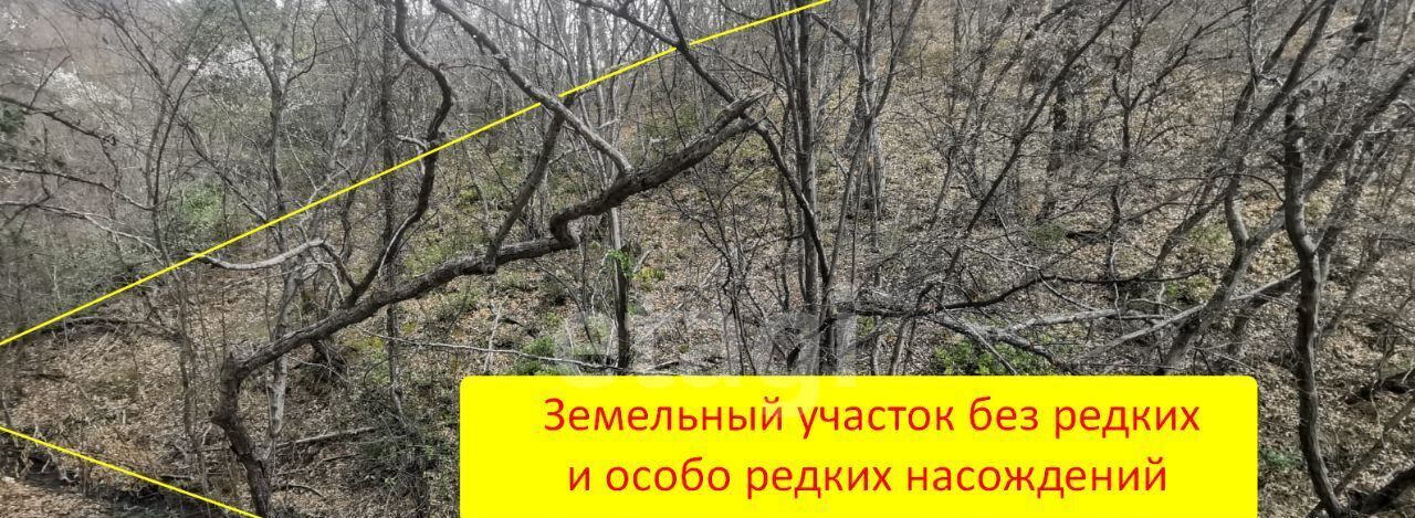 земля г Ялта пгт Отрадное фото 4