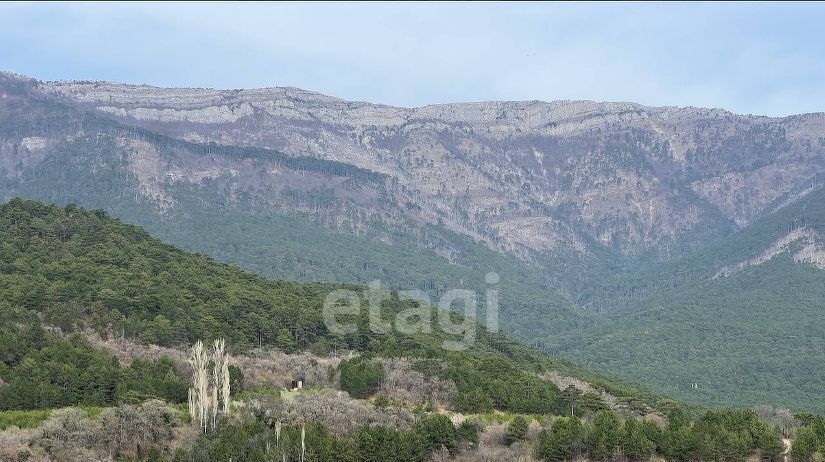 земля г Ялта ул Дарсановская фото 5
