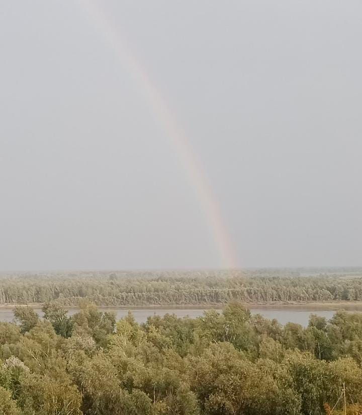 земля г Барнаул р-н Центральный Ерестной фото 6
