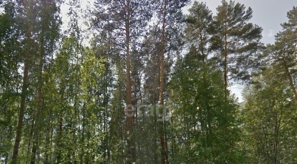 земля г Дегтярск п Чусовая фото 6