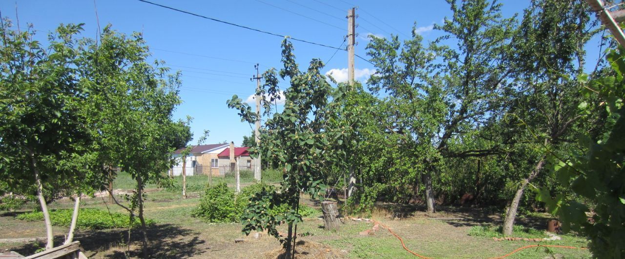 земля г Астрахань р-н Ленинский снт Болдинское ул 4-я Фруктовая фото 4