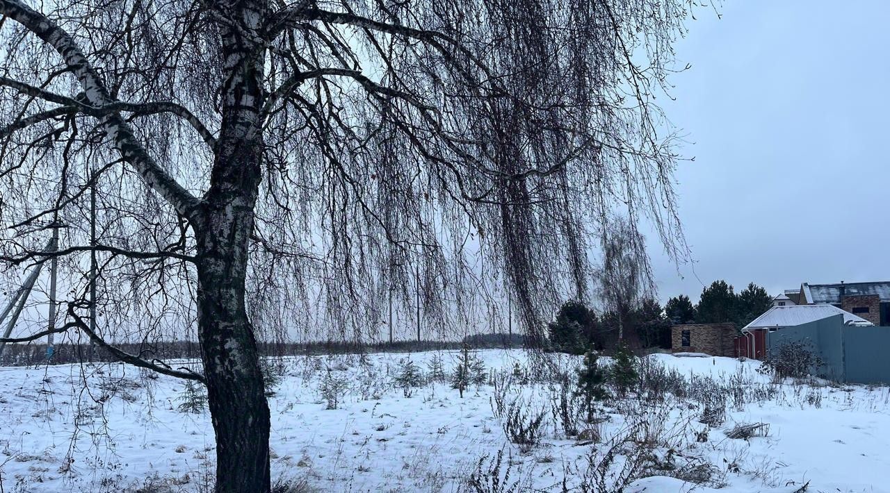 офис г Домодедово д Тургенево фото 3