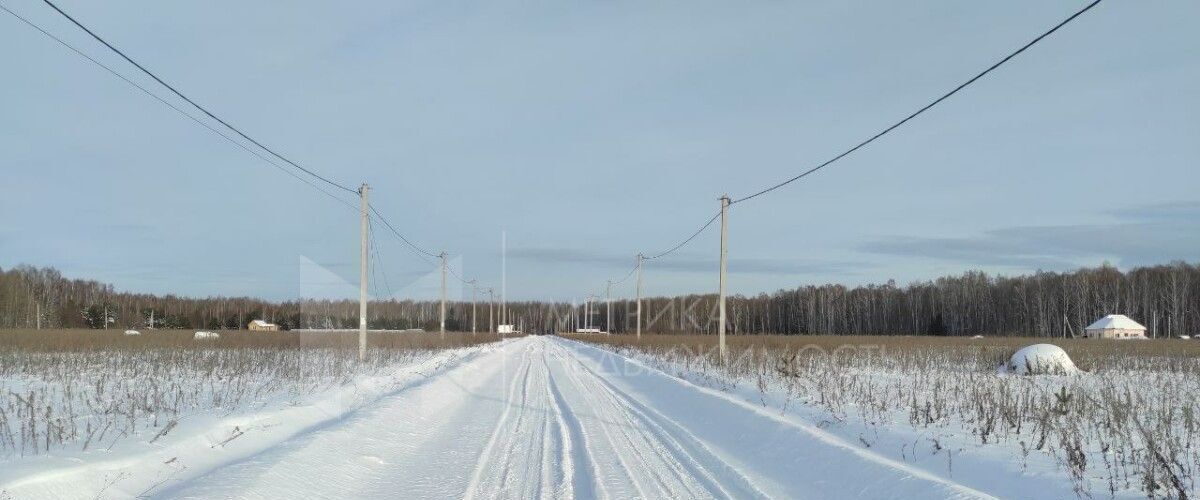земля г Тюмень р-н Центральный снт Царево ул Соловьиная фото 4
