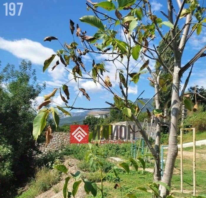 земля г Ялта ул Казанцева А.И. 34 фото 4