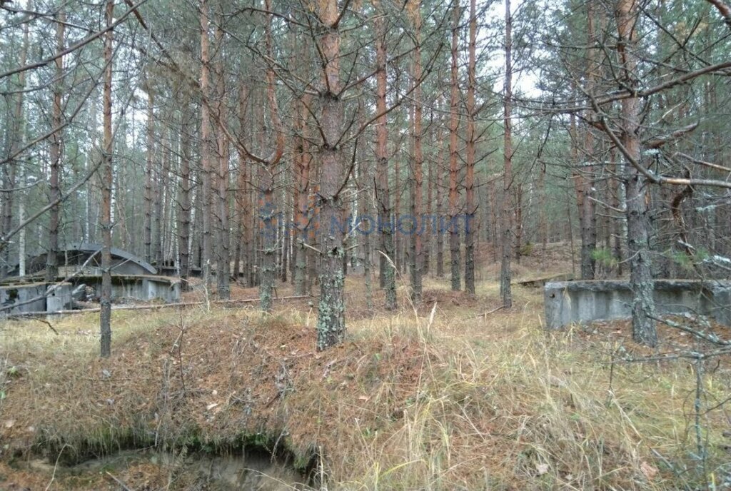 земля р-н Балахнинский рп Лукино ул Морозова Буревестник фото 3