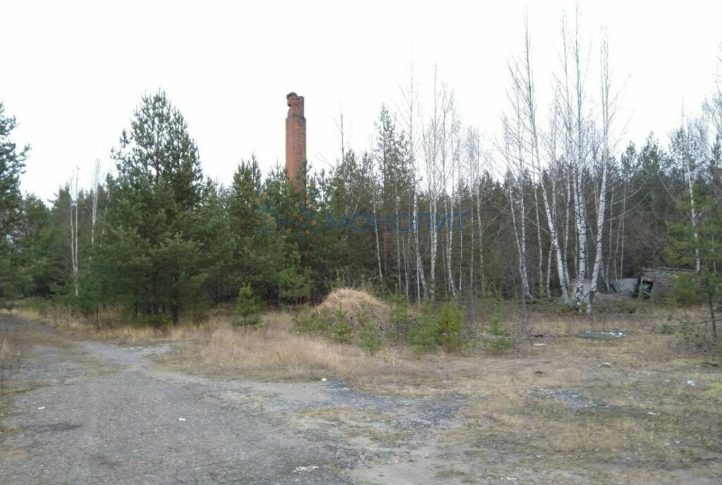 земля р-н Балахнинский рп Лукино ул Морозова Буревестник фото 6