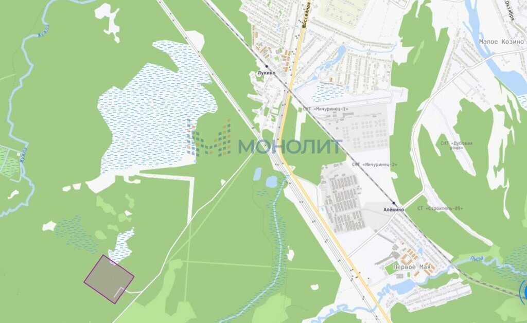 земля р-н Балахнинский рп Лукино ул Морозова Буревестник фото 10