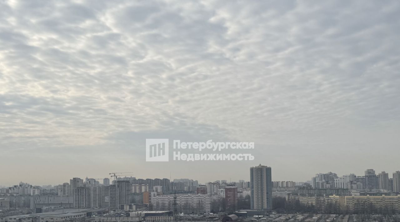 квартира г Санкт-Петербург п Парголово ул Михаила Дудина 10 метро Парнас фото 8