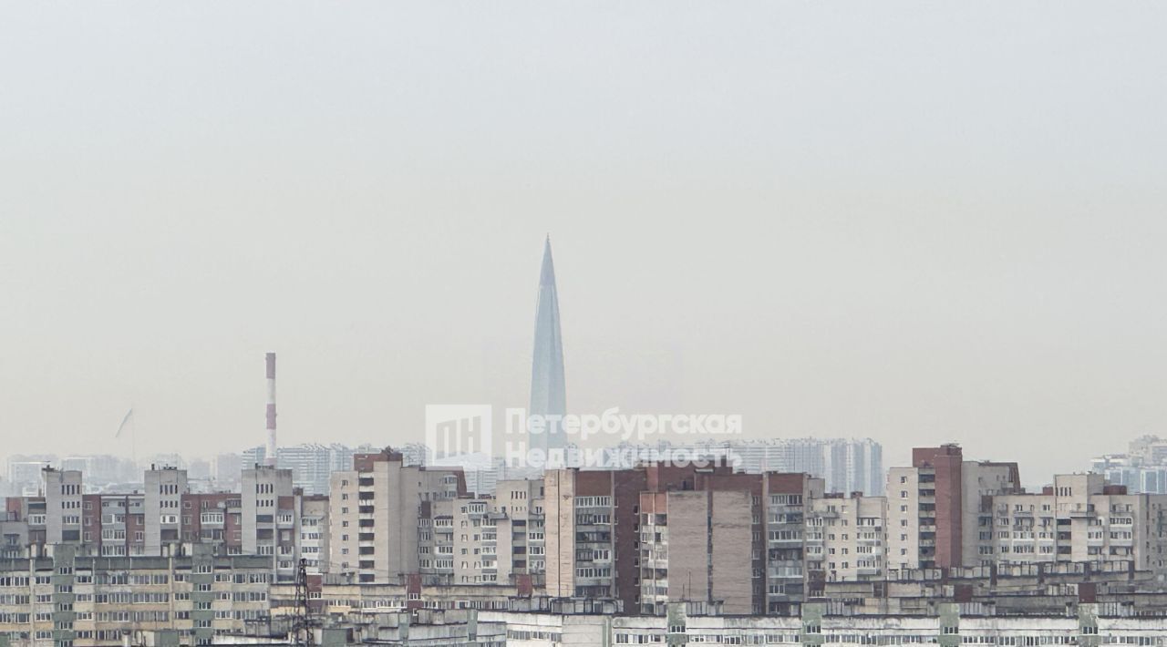 квартира г Санкт-Петербург п Парголово ул Михаила Дудина 10 метро Парнас фото 7