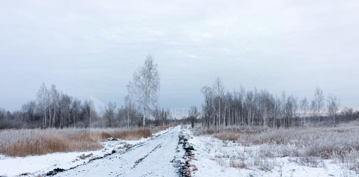земля г Тюмень снт Приозерное Тюневское с/пос, ДНТ, Нижнетавдинский район фото 9