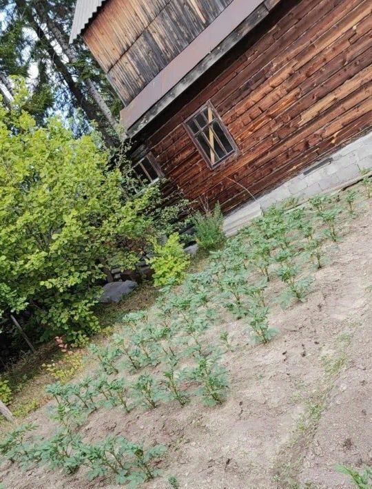 дом г Нижний Тагил р-н Ленинский снт Заря 5-я линия, 1А фото 3