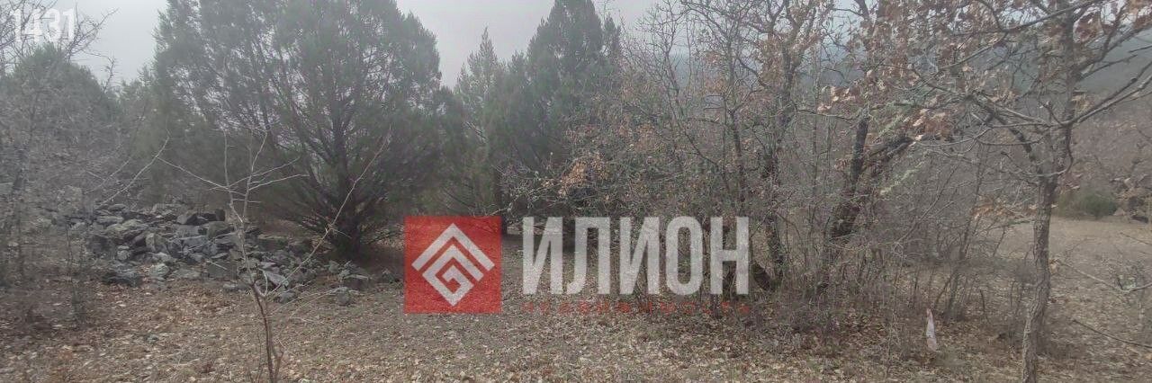 земля г Алушта с Приветное р-н курорт Канака ул Курортная фото 3