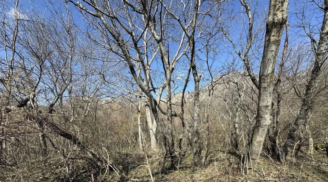 земля г Алушта с Лучистое фото 15