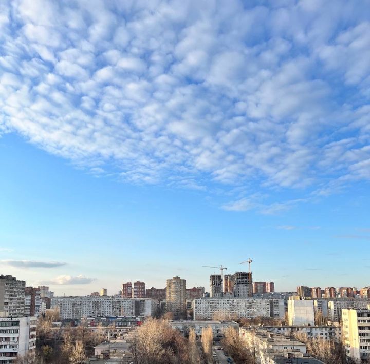 квартира г Ростов-на-Дону р-н Ворошиловский Северный ул Волкова 8 фото 16