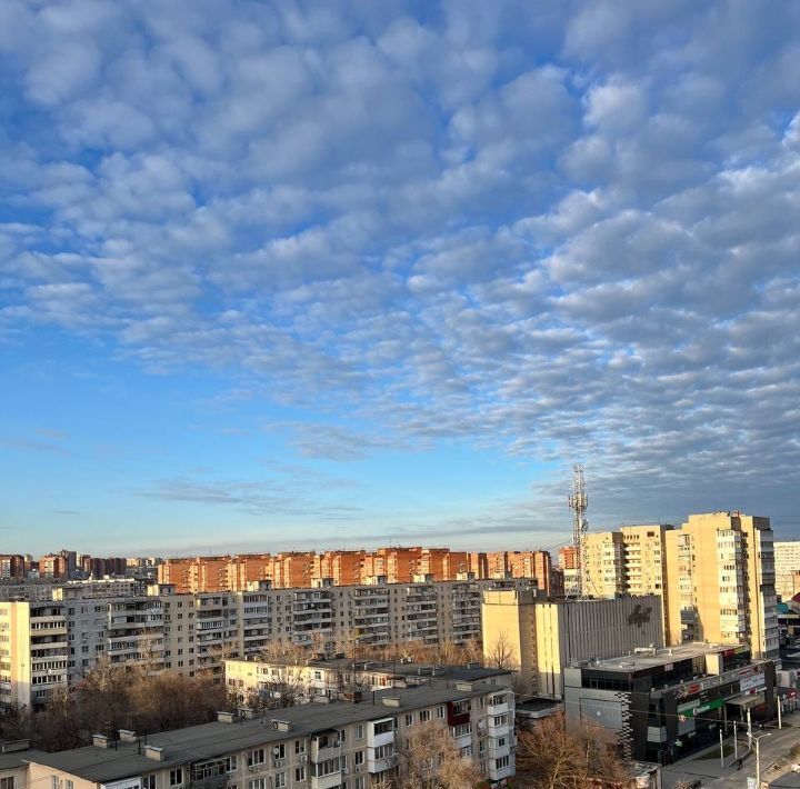 квартира г Ростов-на-Дону р-н Ворошиловский Северный ул Волкова 8 фото 14
