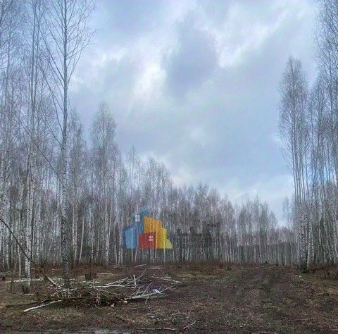 земля г Тула р-н Пролетарский ул Синицына фото 1