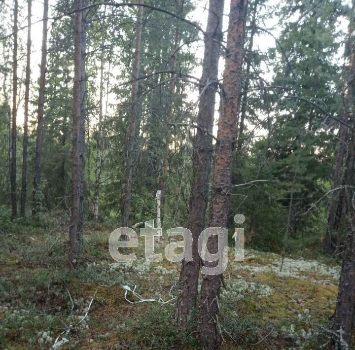 земля г Ухта п Весёлый Кут 63 фото 5