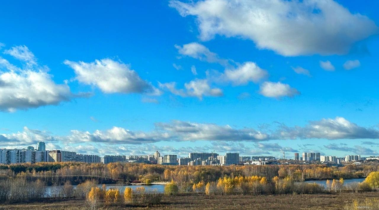 квартира г Москва метро Спартак б-р Чкаловский 6 фото 31