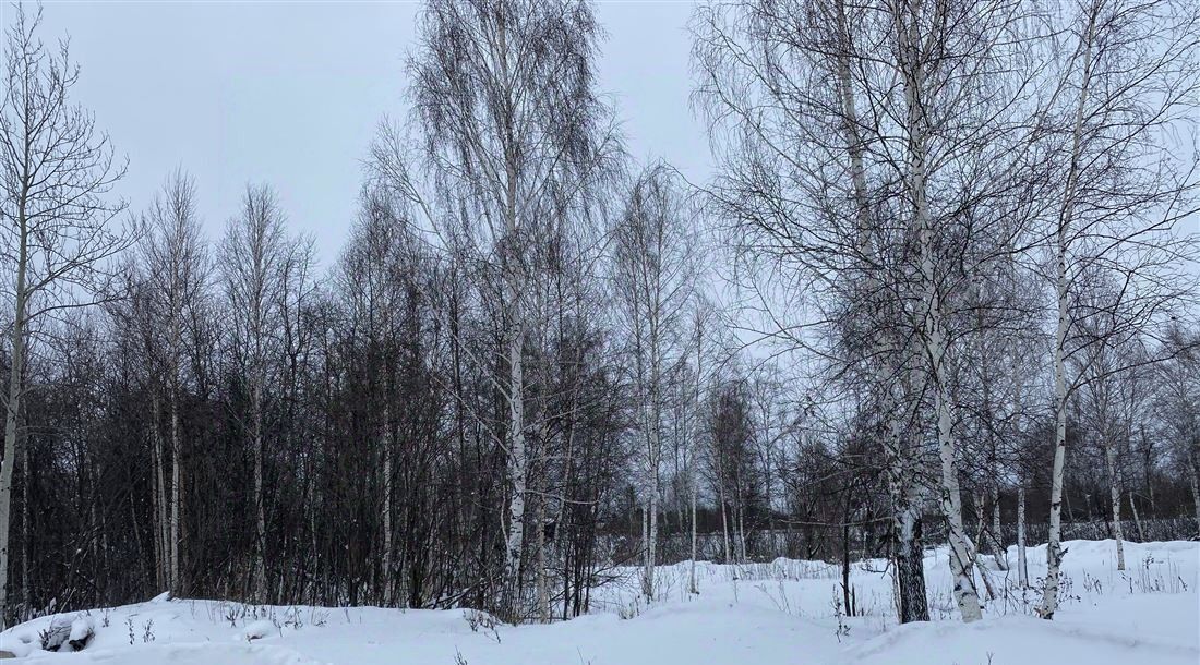 земля г Томск п Апрель проезд Геологов 14 р-н Кировский фото 2