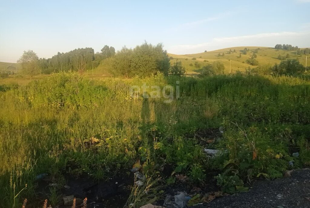 земля г Бийск фото 3
