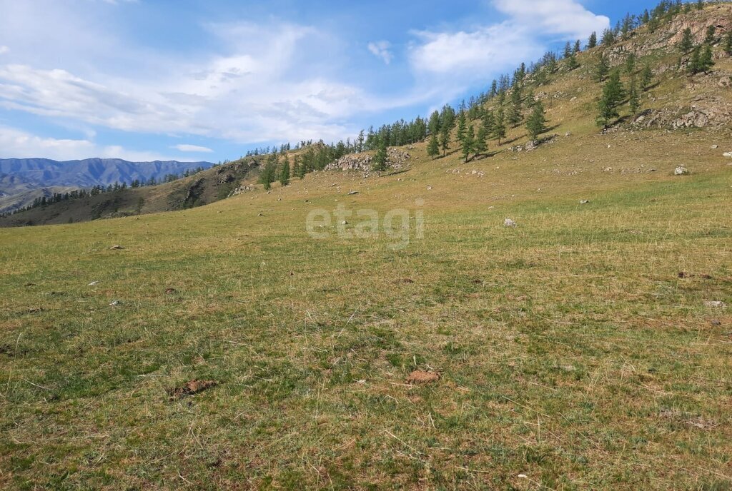 земля г Бийск фото 4
