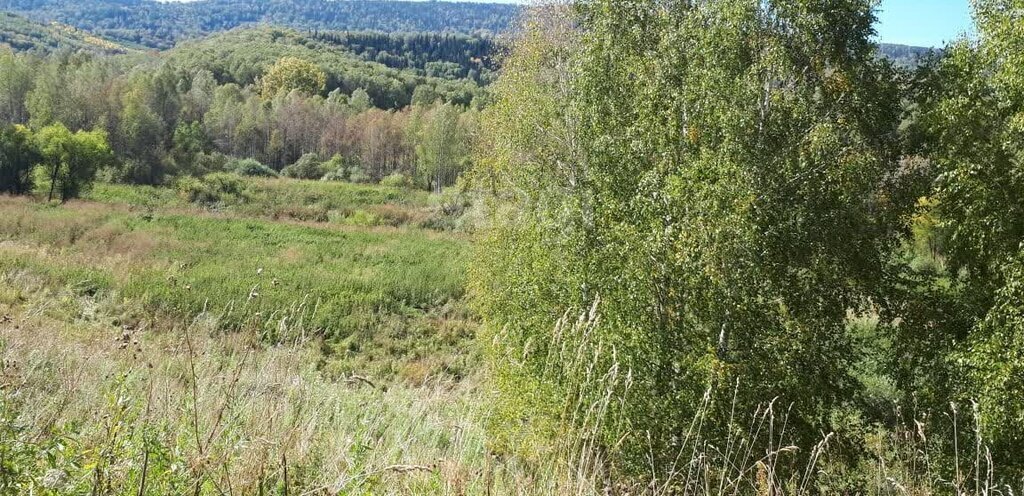 земля г Бийск фото 4
