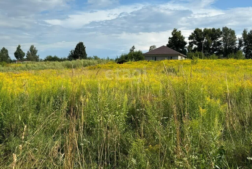 земля г Бийск ул Новая фото 4